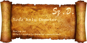 Székely Demeter névjegykártya